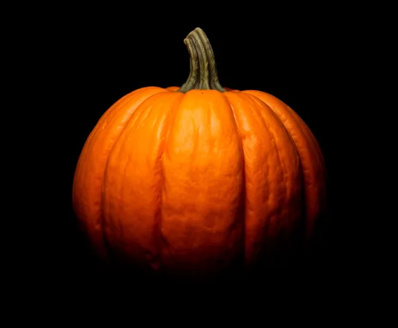 halloween pumpkin black background