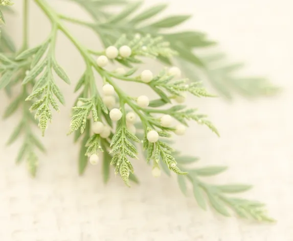 nettle plant seeds