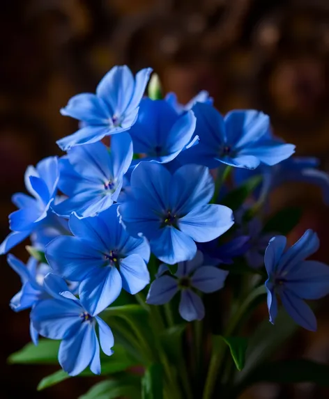 blue flowers bouquet