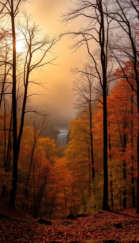 lackawanna state park pennsylvania