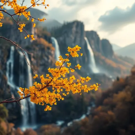 yellow branch falls sc