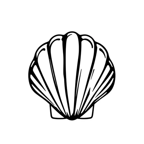 seashell clipart black and