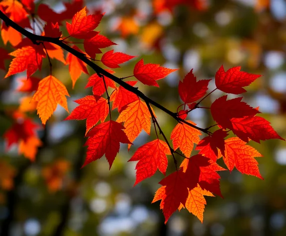 branch silhouette leaves