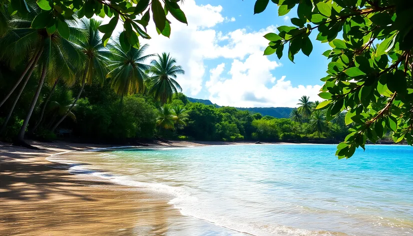 kanaha beach park maui