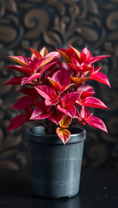 leaves in pot