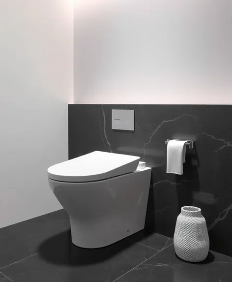 toilet design