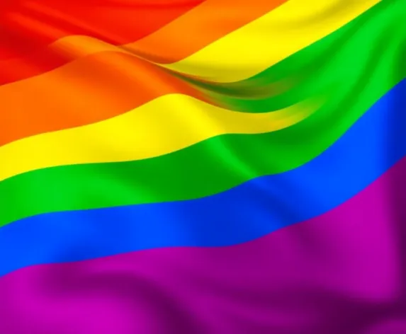 lgbt pride flag vector