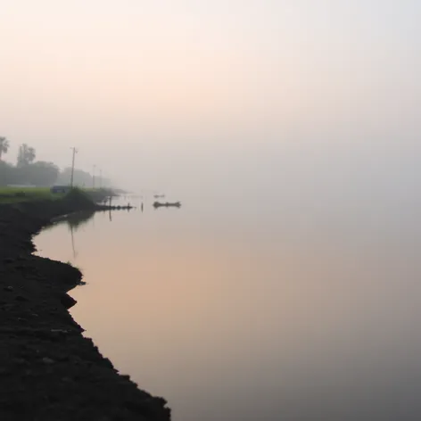 bank edge of pond