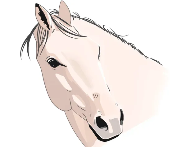 drawing of a horse