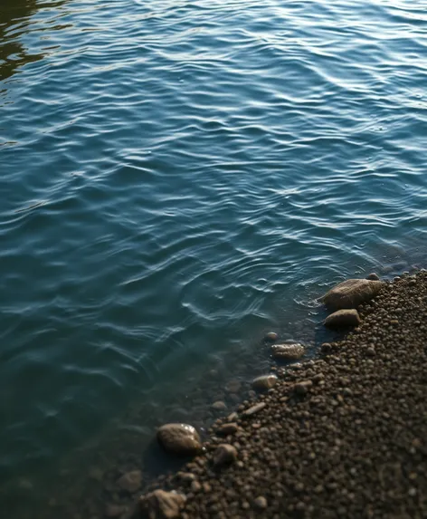 river with shadow