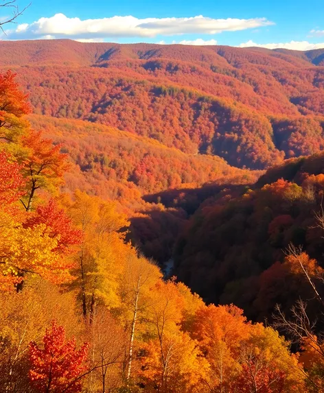 turkey run state park