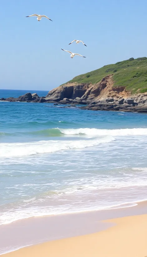 maine beach