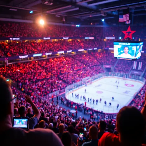 hockey fan flashes crowd