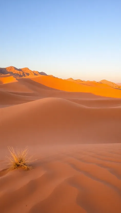 sand dunes arizona