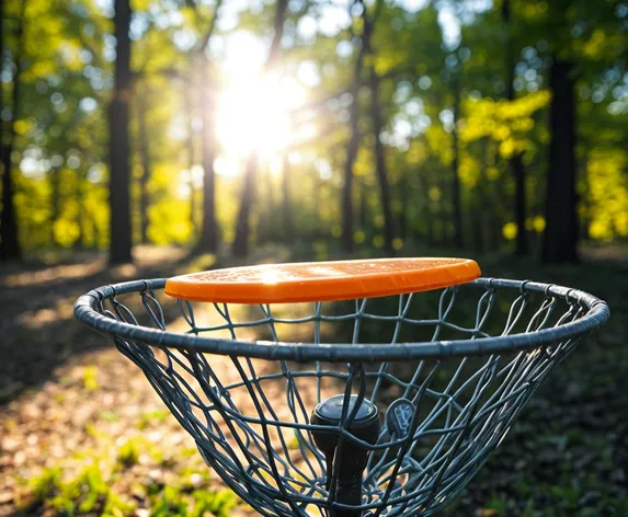 disc golf basket