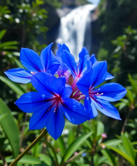 blue tropical flowers