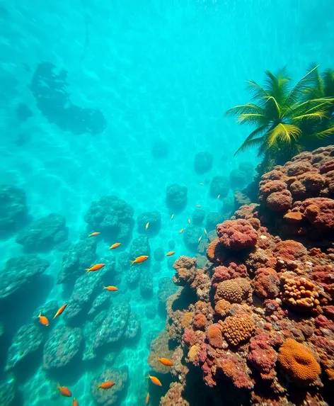 utila island honduras