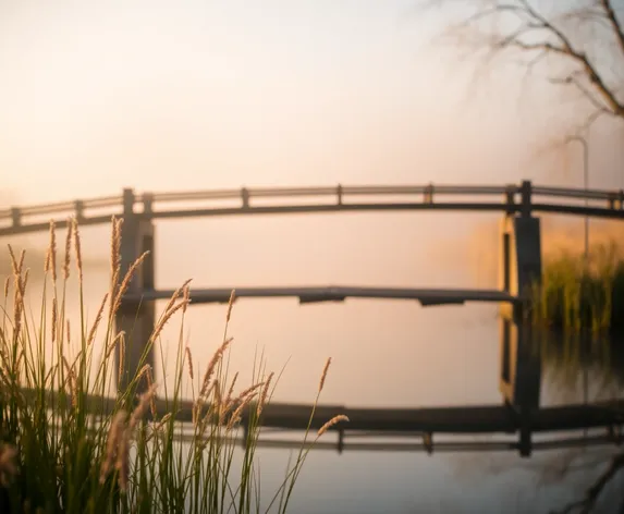 cat tails bridge