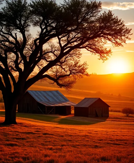 groom texas