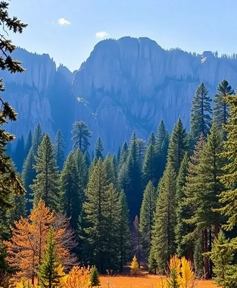 giant sequoia national park