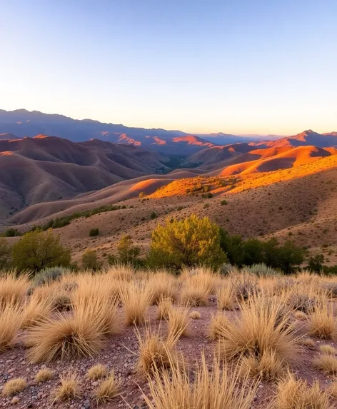 warner springs california