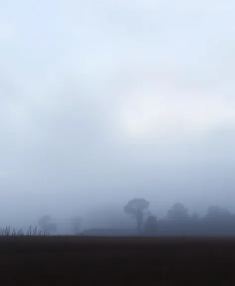 foggy evening landscape watercolor