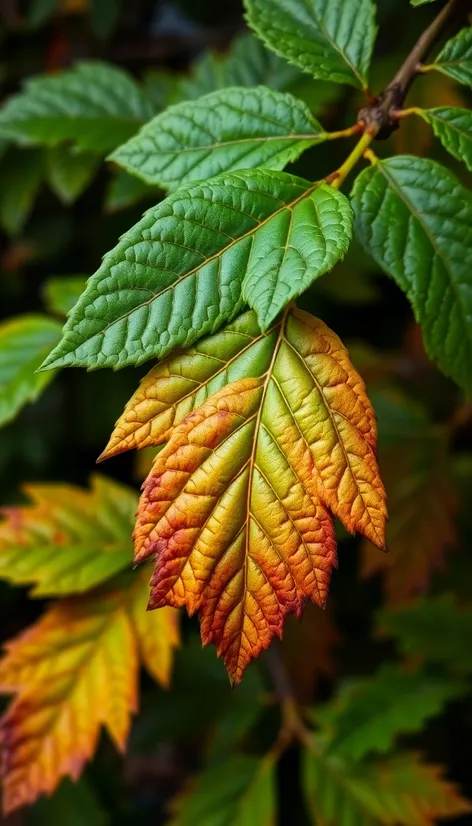 green faux chestnut leaf