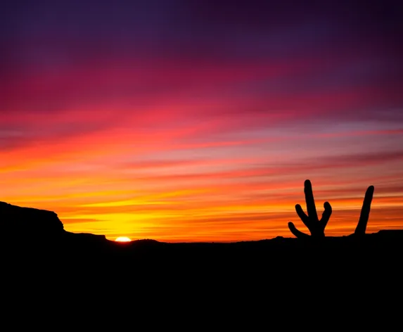 sunset silhouette