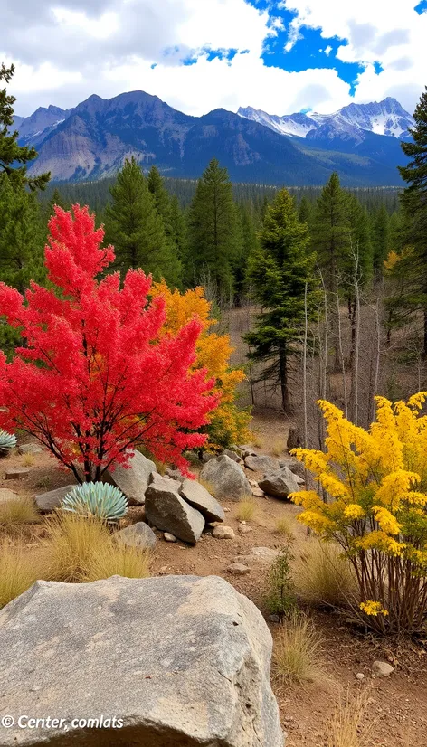 carson nature center denver