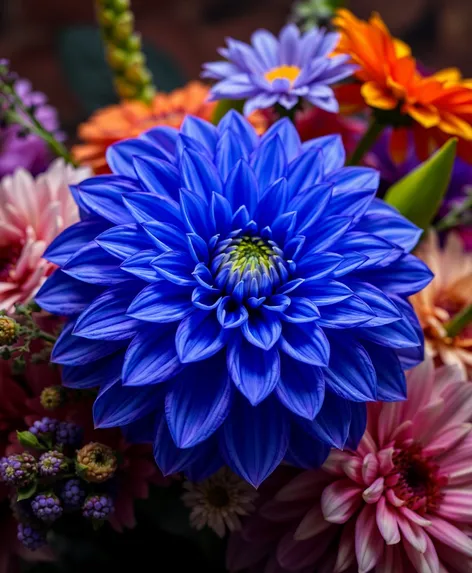 blue dahlia flower