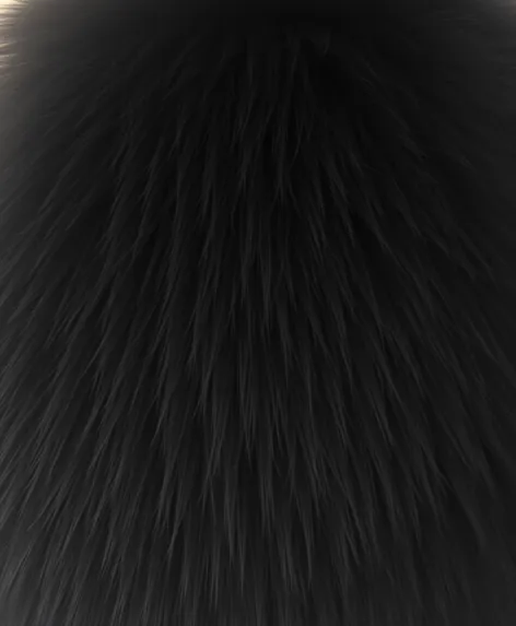 sable fur