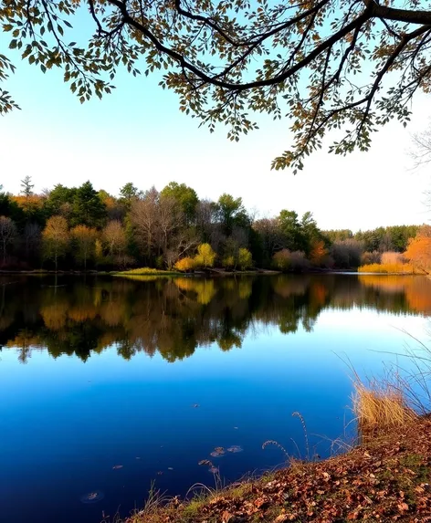 houghton's pond milton