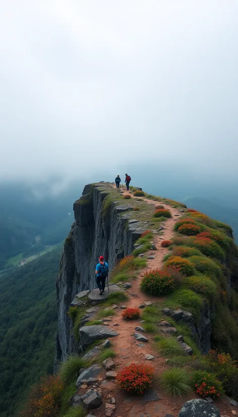 hawksbill crag trail