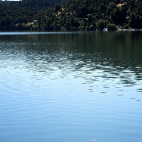 water level at lake