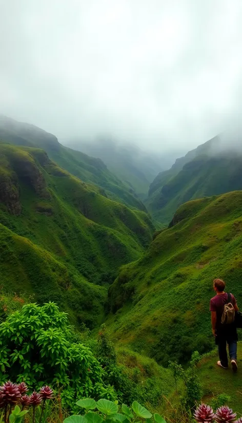 brazilian highlands