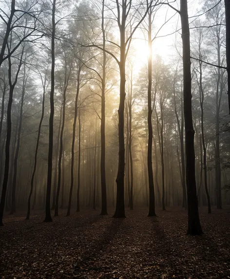 saint edward state park