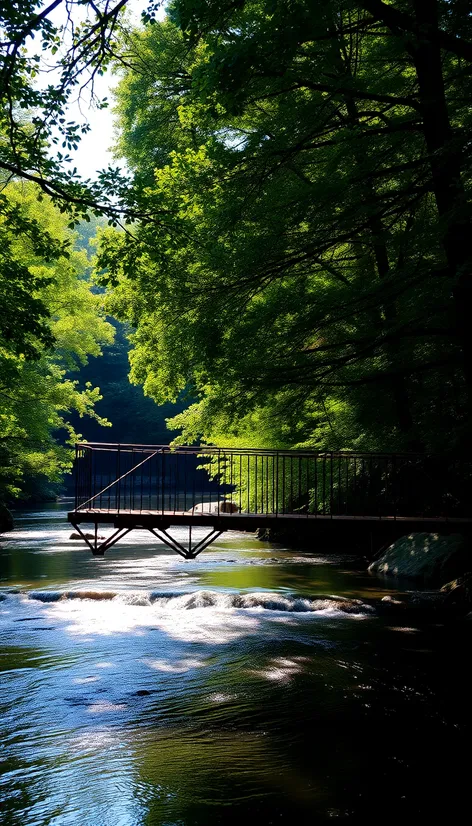 swinging bridge on the