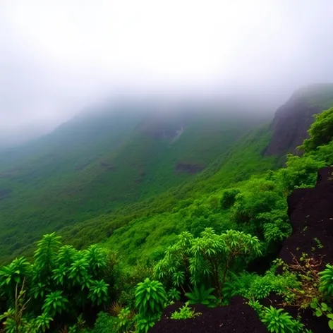 pu'u o kila lookout