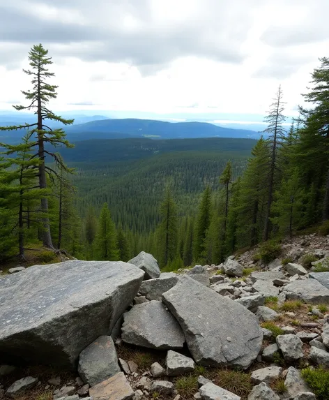 canadian shield drawing easy