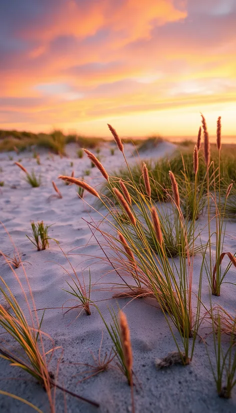 tigertail beach florida