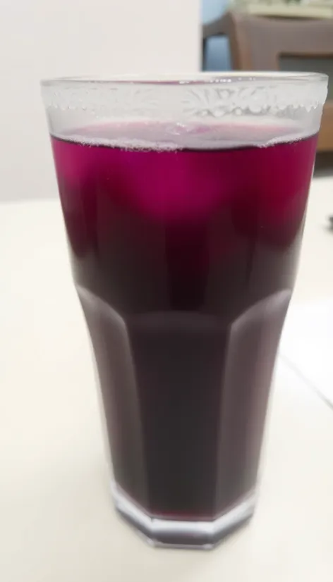 ribena drink