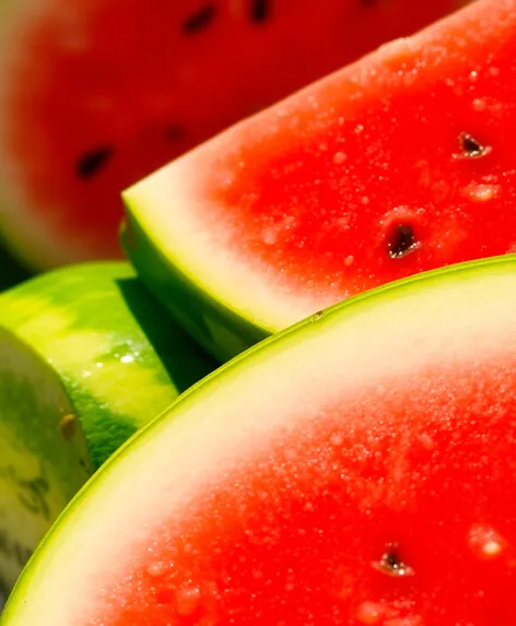 watermelon slices